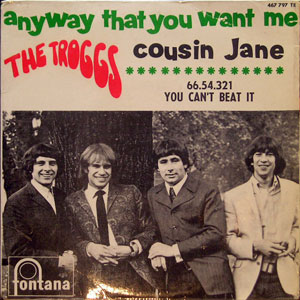 Troggs, the - Anyway That You Want Me