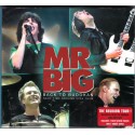 Mr Big - Back to Budokan - Next Time Around 2009 Tour