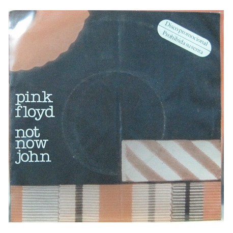 Pink Floyd - Not Now John.