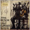 Jos&eacute; Menese - Cantes Flamencos B&aacute;sicos 
