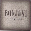 Bon Jovi - Its My Life.