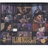 Flamenco Para Tus Ojos