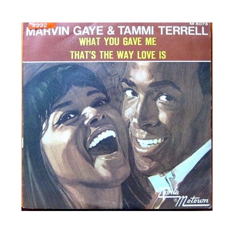Marvin Gaye & Tammi Terrell - What You Gave Me