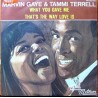 Marvin Gaye & Tammi Terrell - What You Gave Me