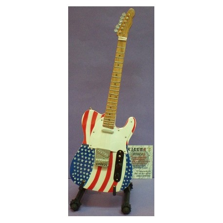Guitarra Bruce Springsteen - Flag