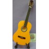 Guitarra Flamenco