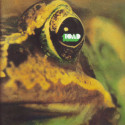 Toad ‎– Toad.