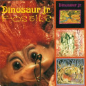 Dinosaur Jr. – Fossils