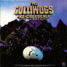 The Golliwogs – Pre-Creedence