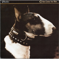 Pixies – Here Comes Your Man