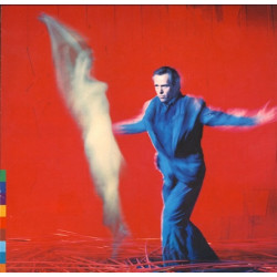 Peter Gabriel – Us - 2 x LP