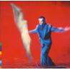 Peter Gabriel – Us - 2 x LP