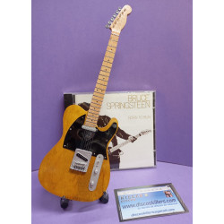 Guitarra Bruce Springsteen
