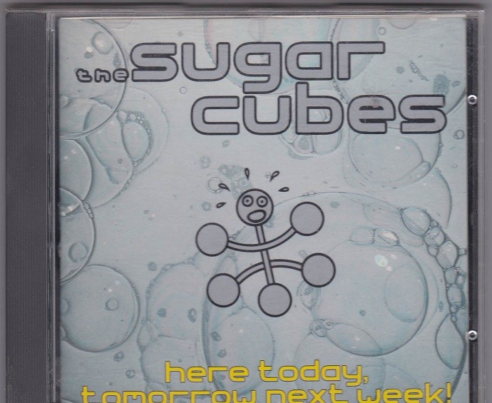 Sugar Cubes - Here today, tomorrow next week! 