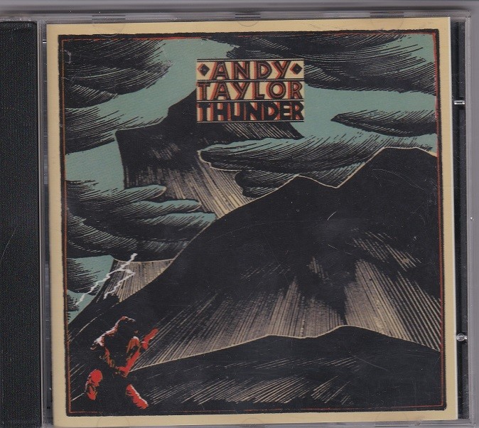 Andy Taylor - Thunder