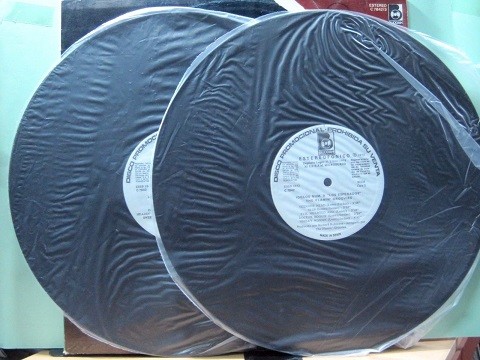 Flamin Groovies - Los Esperados.