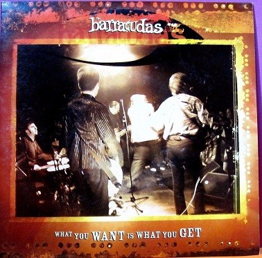 Barracudas ‎– What You Want Is What You Get