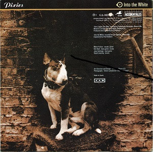 Pixies – Here Comes Your Man