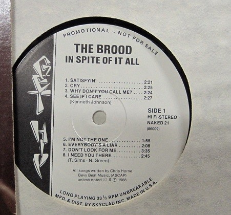 The Brood - In Spite Ofitall - PROMO